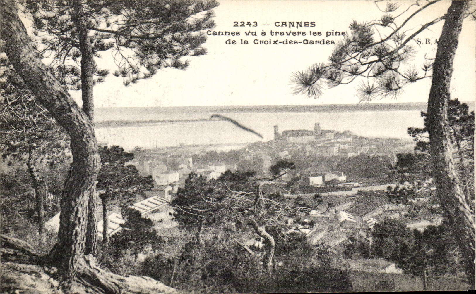 CPA Cannes Seen through the Pines Of the Cross Of the Guards