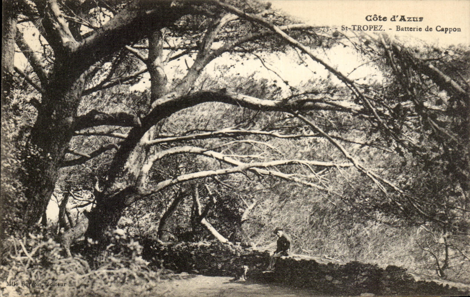 CPA Cote d'Azur St Tropez Batterie De Cappon