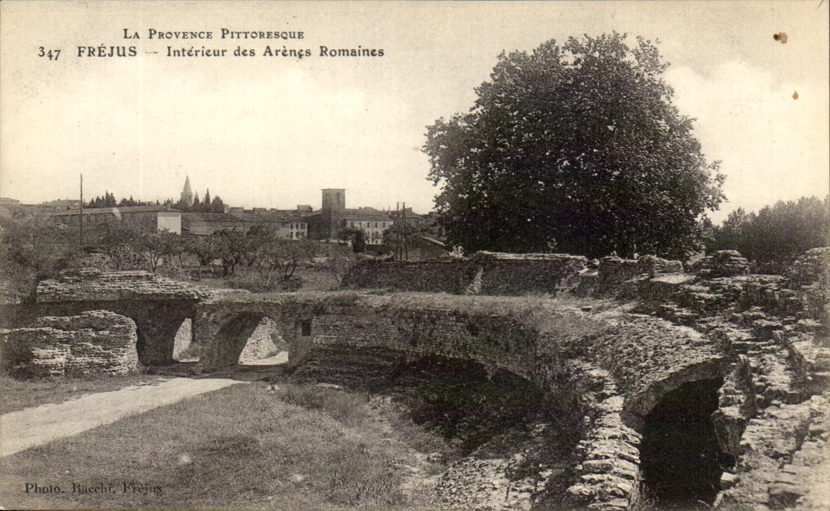 CPA La Provence Pittoresque Frejus Interieur des Arenes Romaines