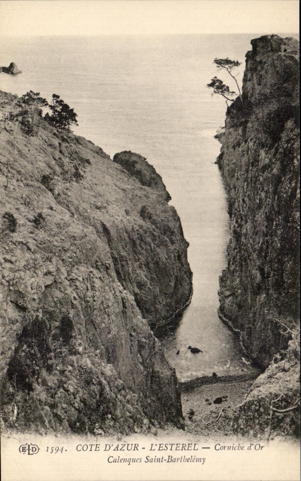 CPA Cote D'Azur L'Esterel Cornicbe d'Or Calenques Saint Bartbelemy