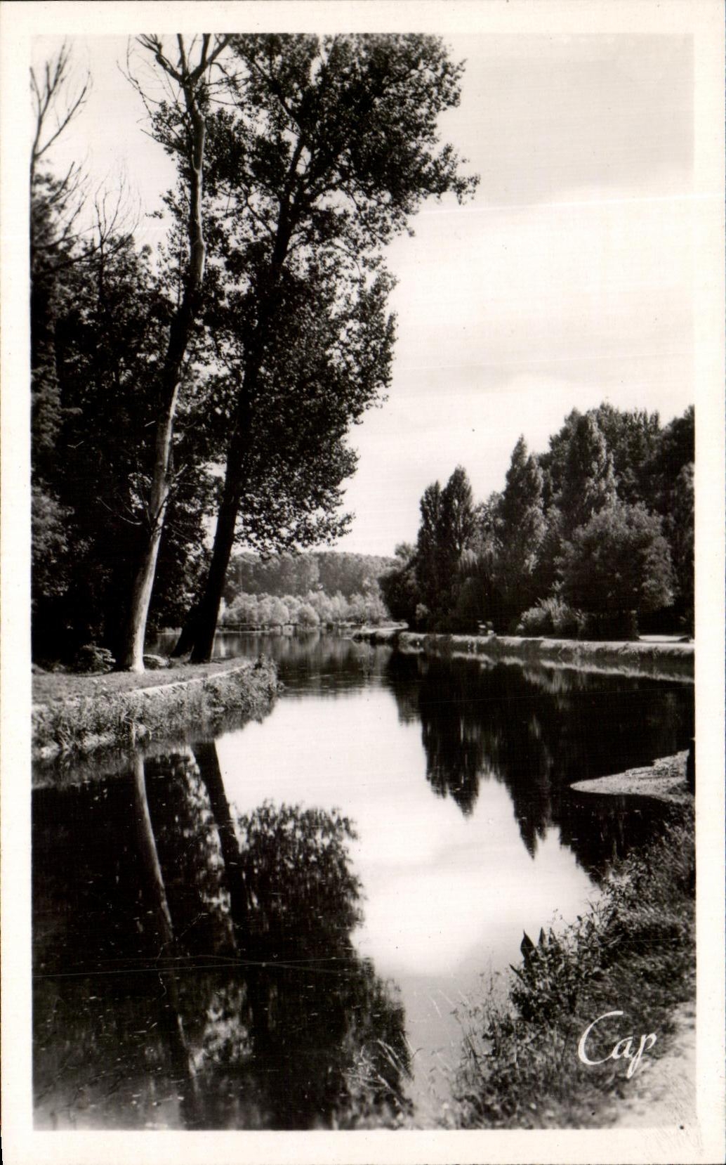 CPA Auxerre l'Arbre sec et le Canal