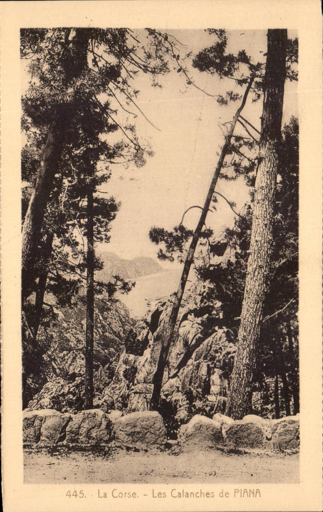 CPA Corsica Creeks of Piana