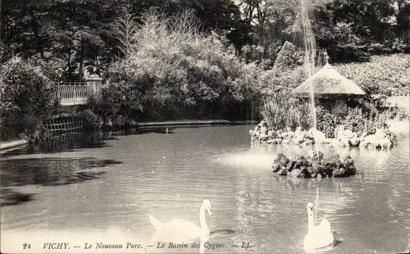 CPA Vichy Le Nouveau Parc Le Bassin Des Cygnes