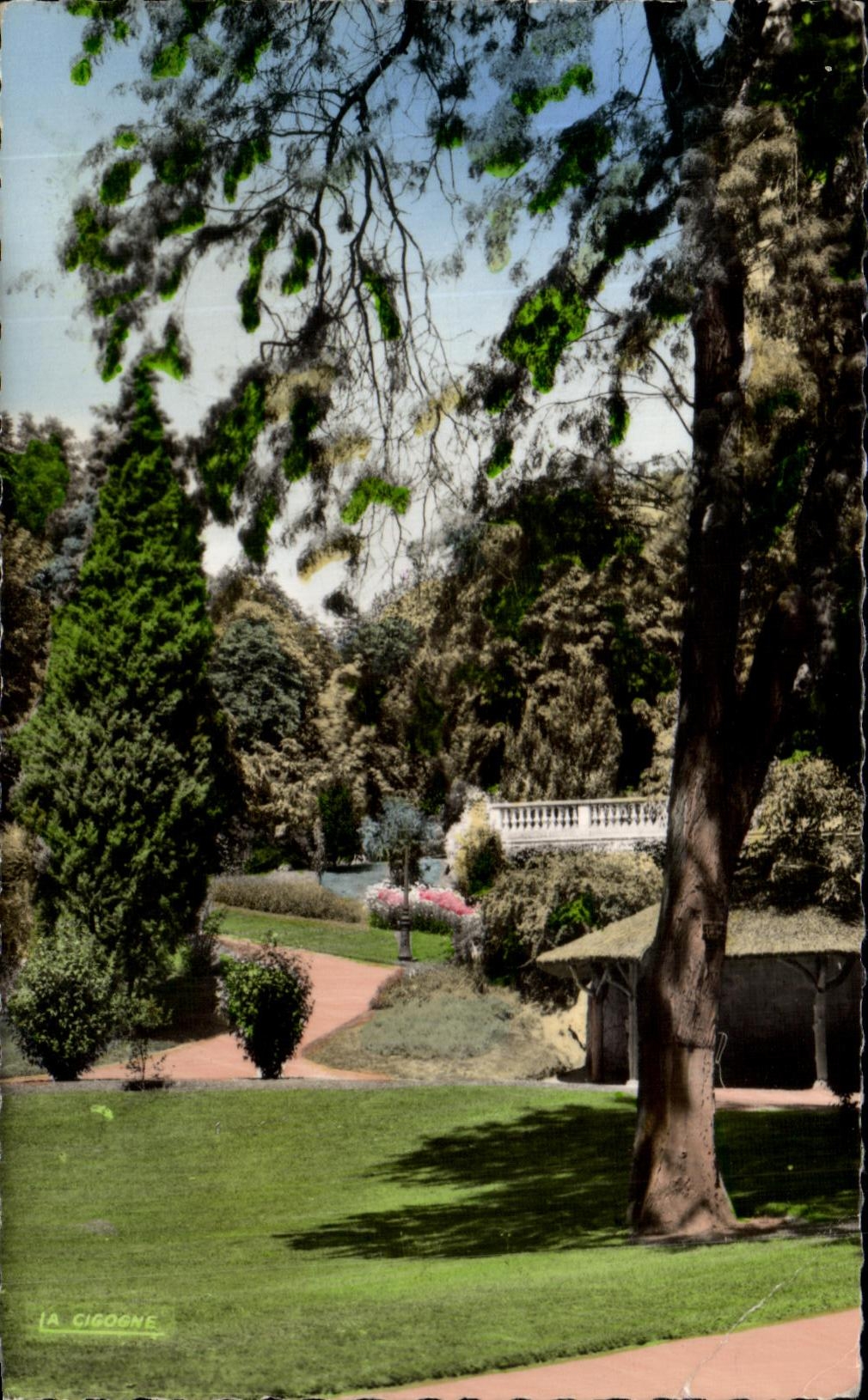CPA Vichy Reine des Villes d'Eaux Le Parc des Cygnes et le Jardin a la Francaise