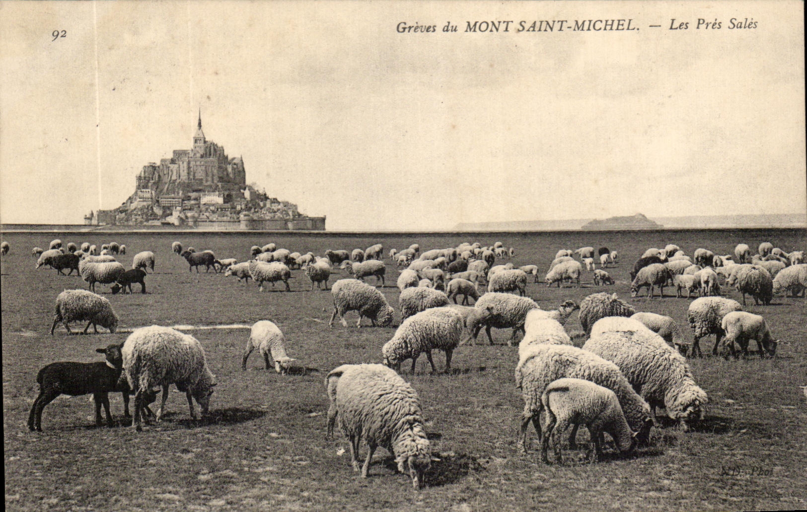 CPA Strikes Of Mont Saint Michel Close Dirty Sheep