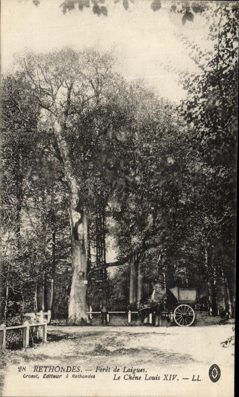 CPA Rethondes Foret de Laigues Le chene Louis XIV