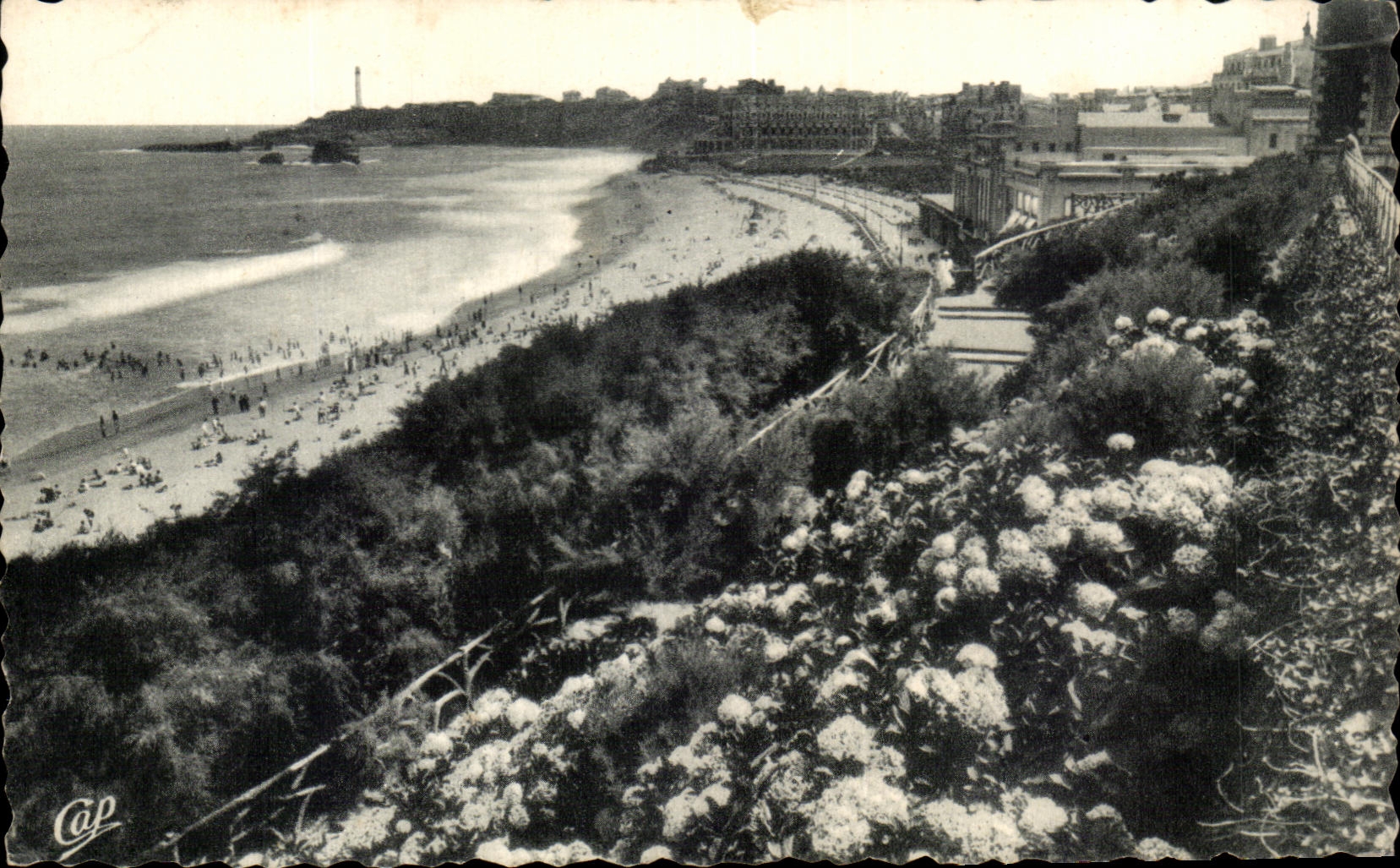 CPA Biarritz Les Hortensais et la Grande Plage