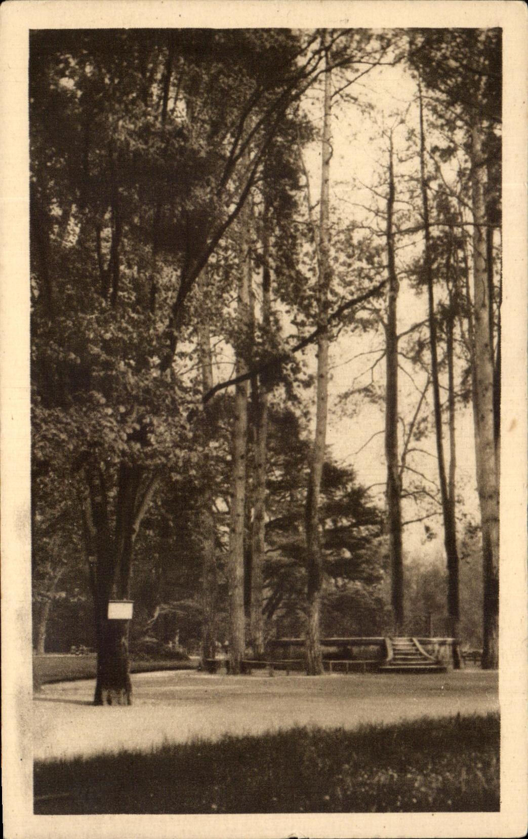 CPA Tarbes Jardin Massey Le Kiosque