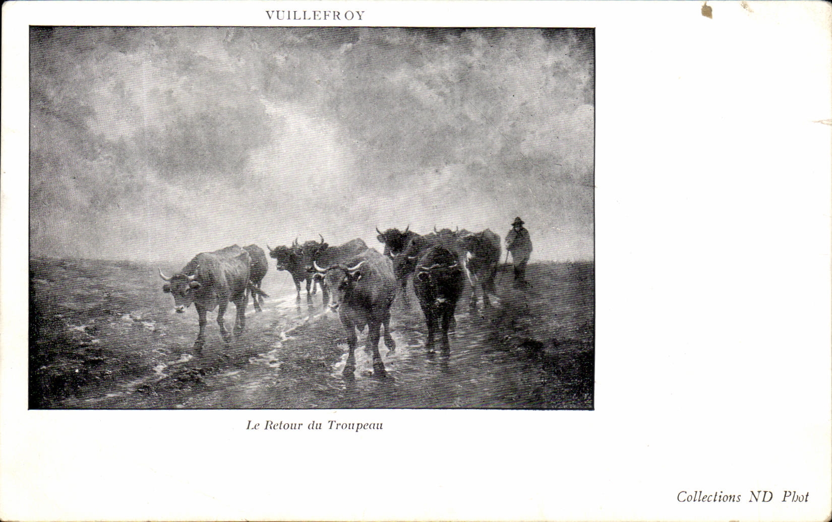 CPA Vuillefroy Le Retour du Troupeau Vaches