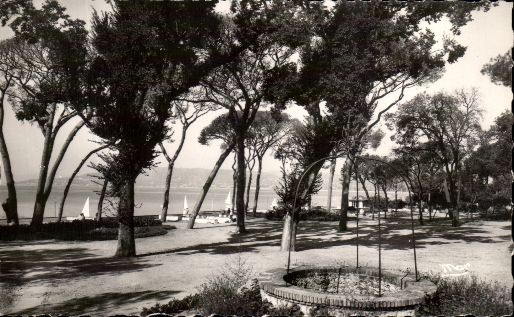 CPA La Douce D'Azur Juan Les Pins La Pinede