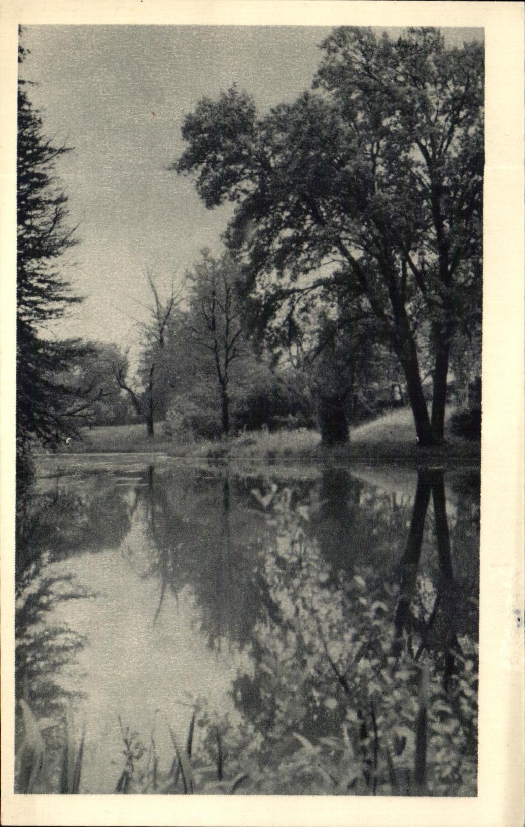 CPA Paysage a la campagne au bord de l'eau