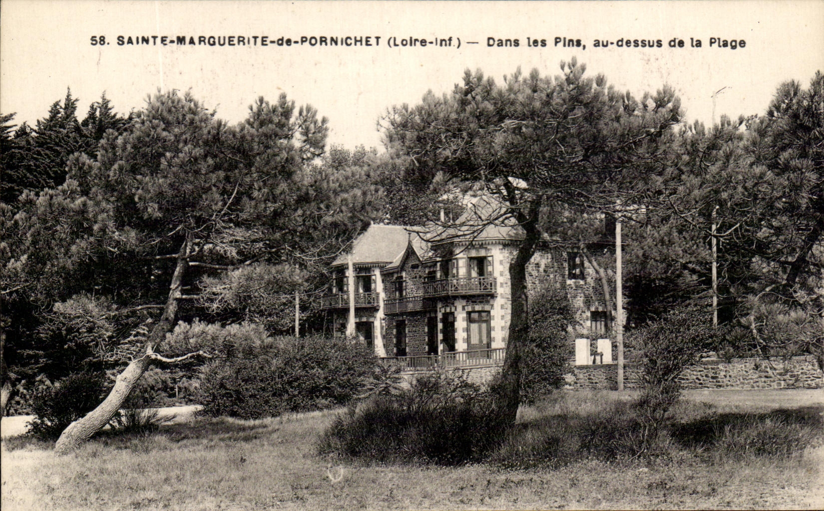 CPA Sainte Marguerite De Pornichet Dans Les Pins Au Dessus De La Plage