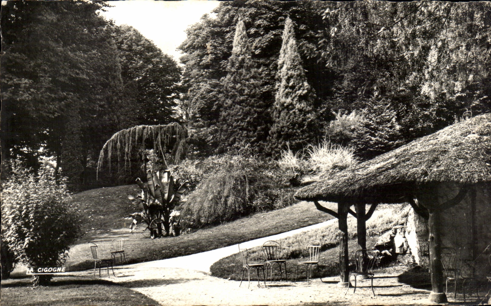 CPA Vichy Reine des villes d'eau Parc des Clestins 