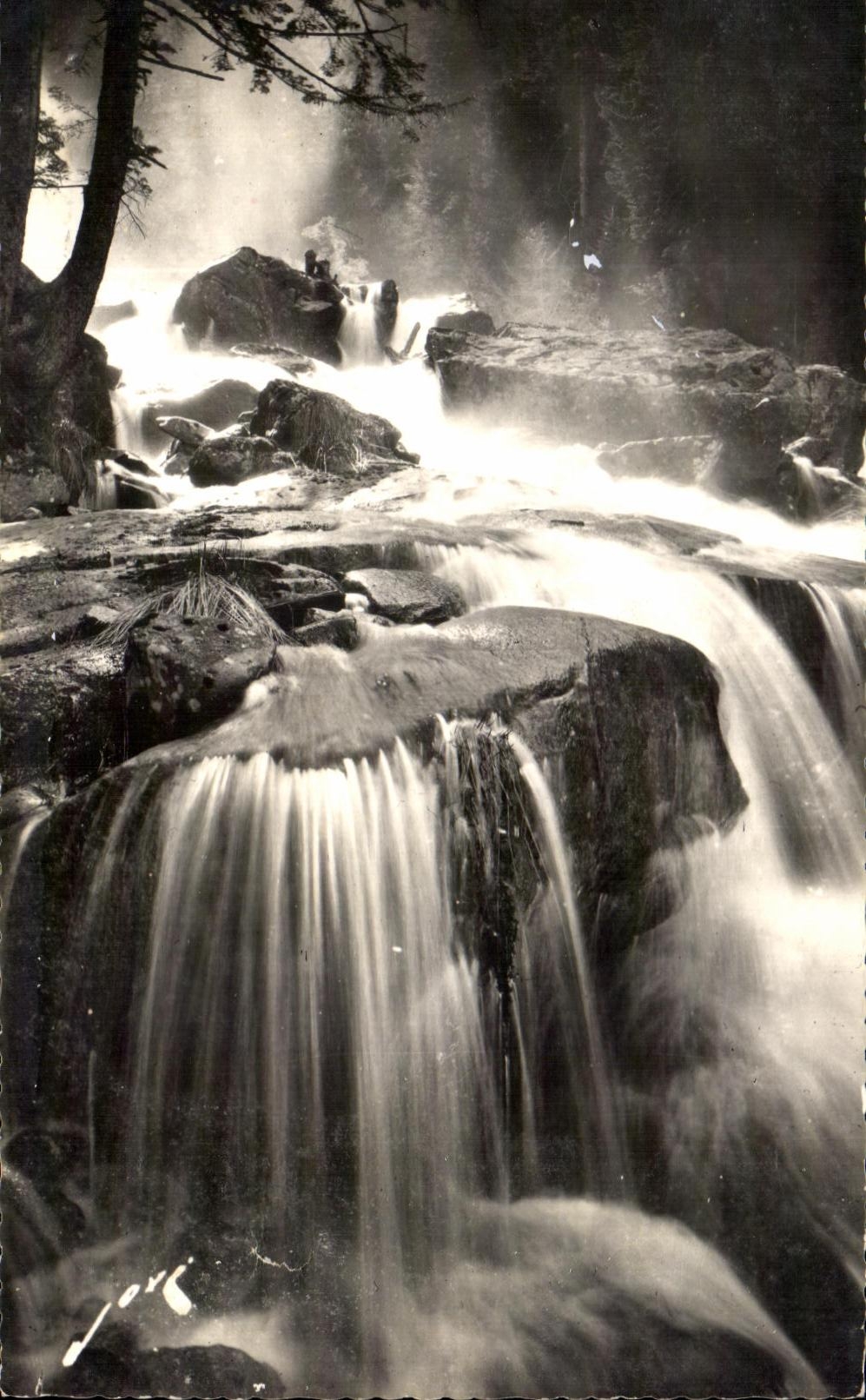 CPA Cauetrets La Cascade du pas de l'Ours