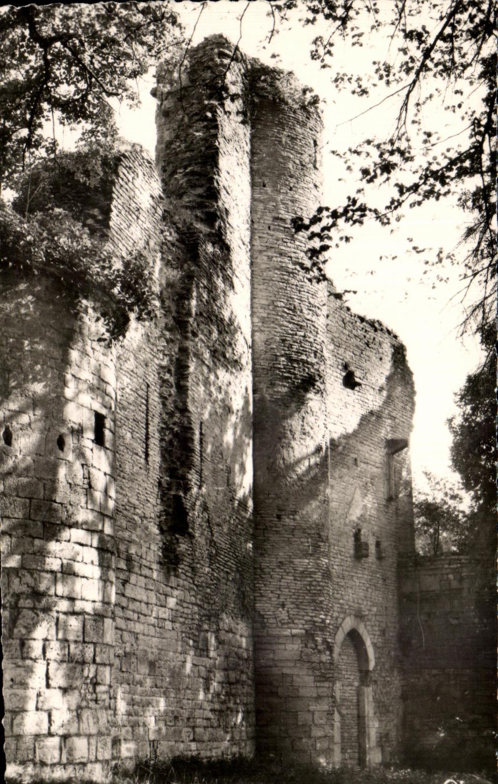 CPA Chatillon Sur Seine Ruines Du Chateau des Ducs de Bourgogne detruit Sous Henri IV en 1597
