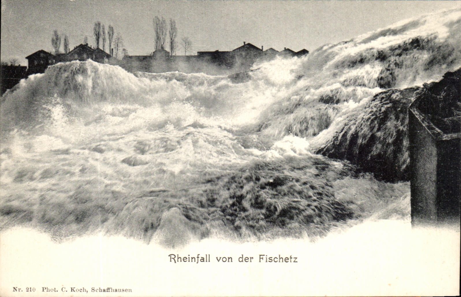 CPA Rheinfall von der Fischetz