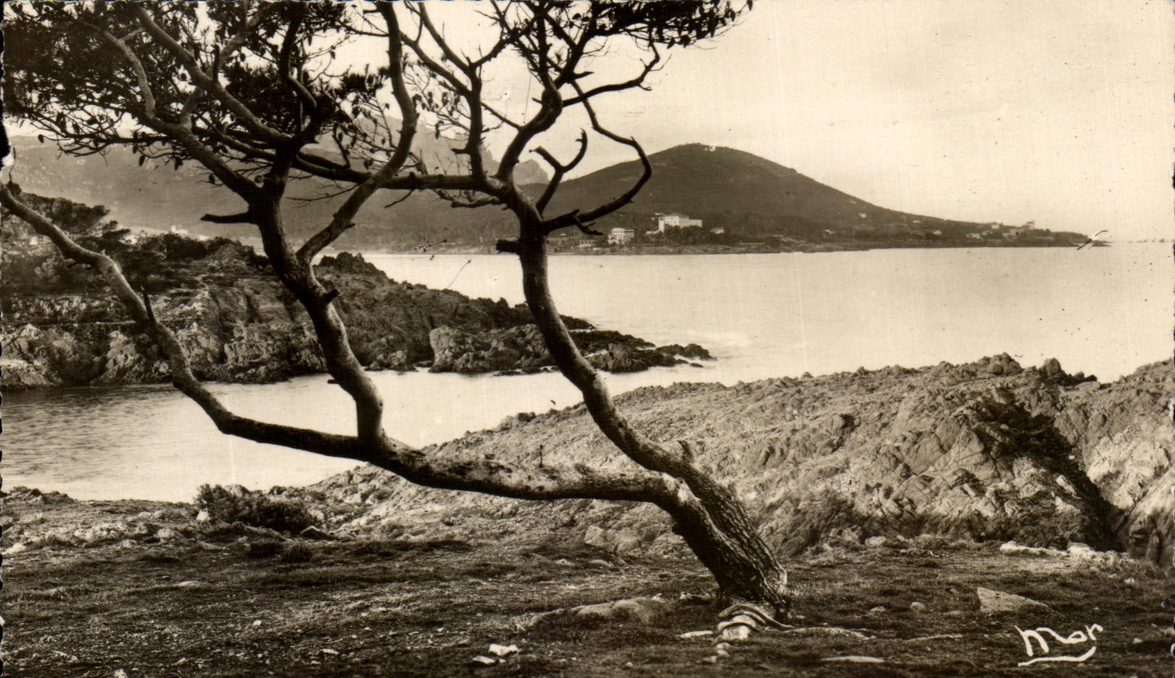 CPA Agay bord du mer