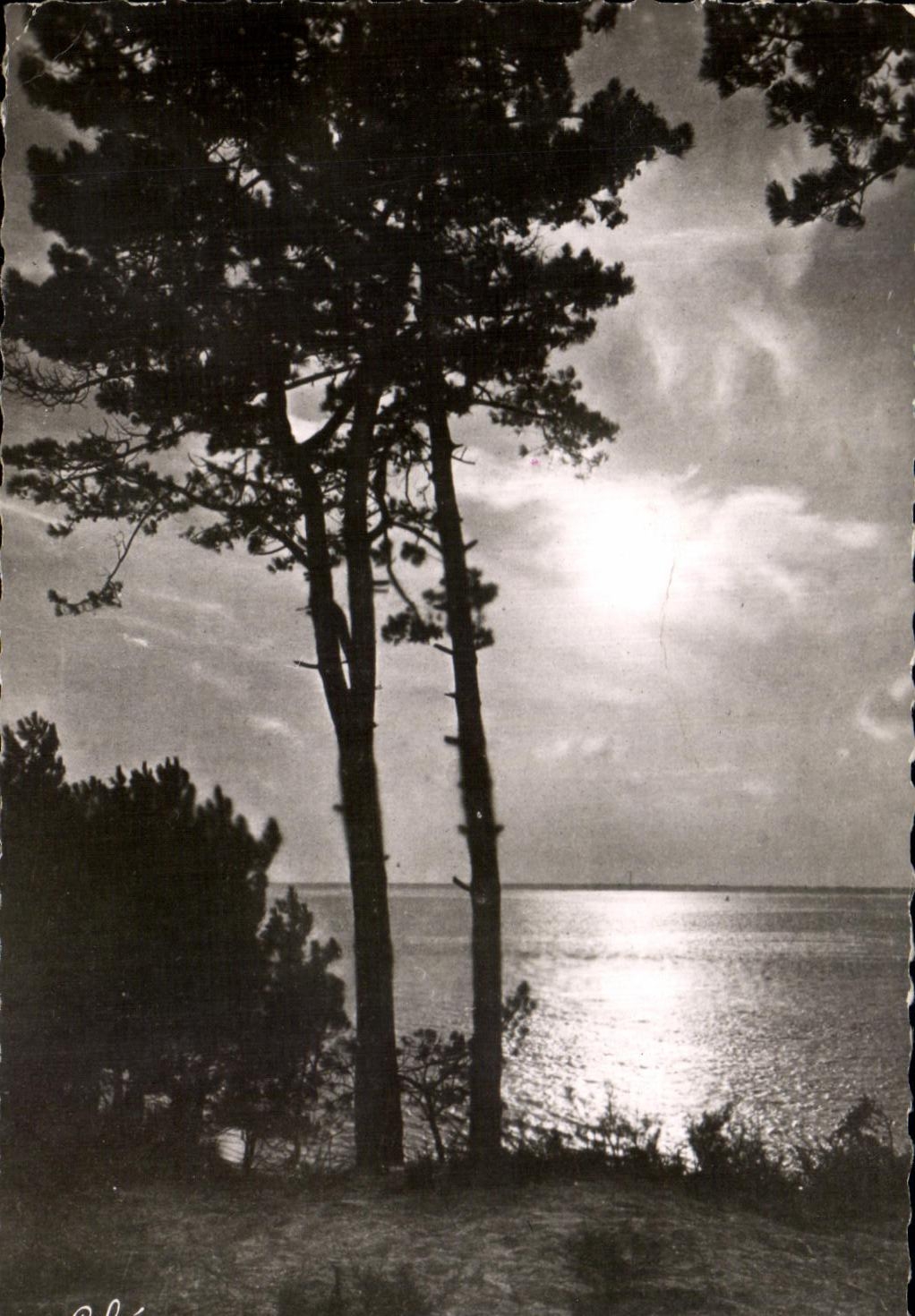 CPA Bassin D'Arcachon Coucher De Soleil Sur Le Bassin