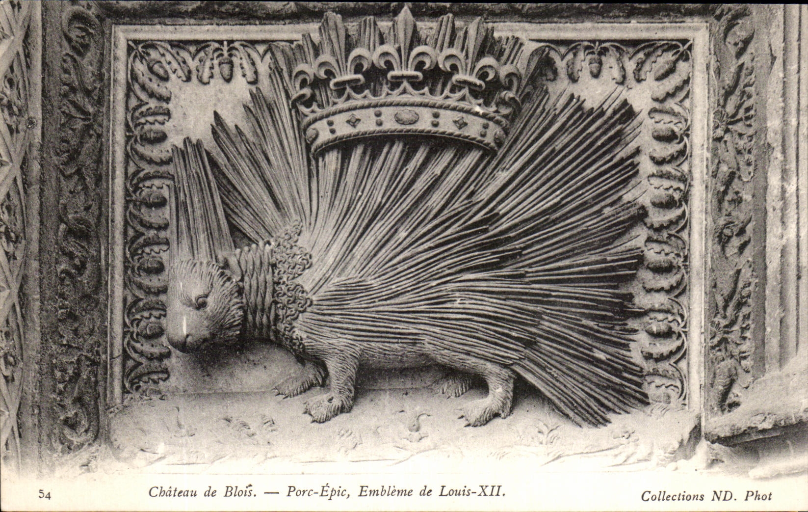 CPA Chateau de Blois Porc Epic Embleme de Louis XIII