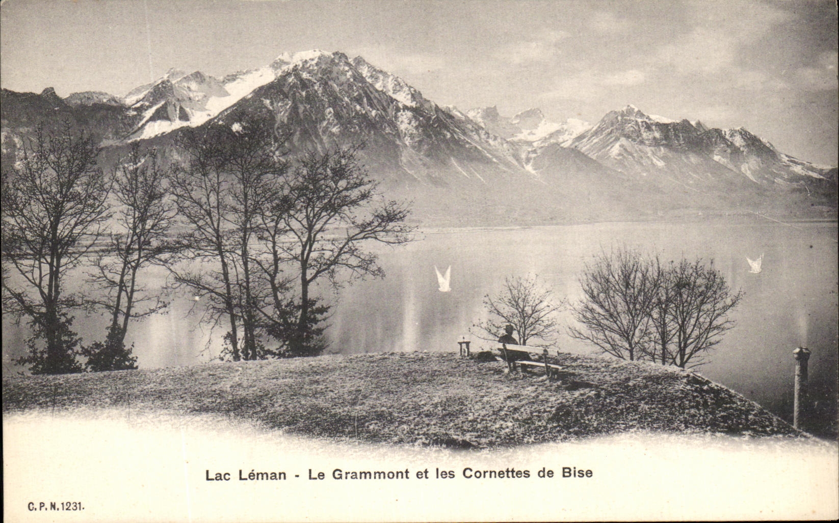 CPA Lac Leman Le Grammont Et Les Cornettes De Bise