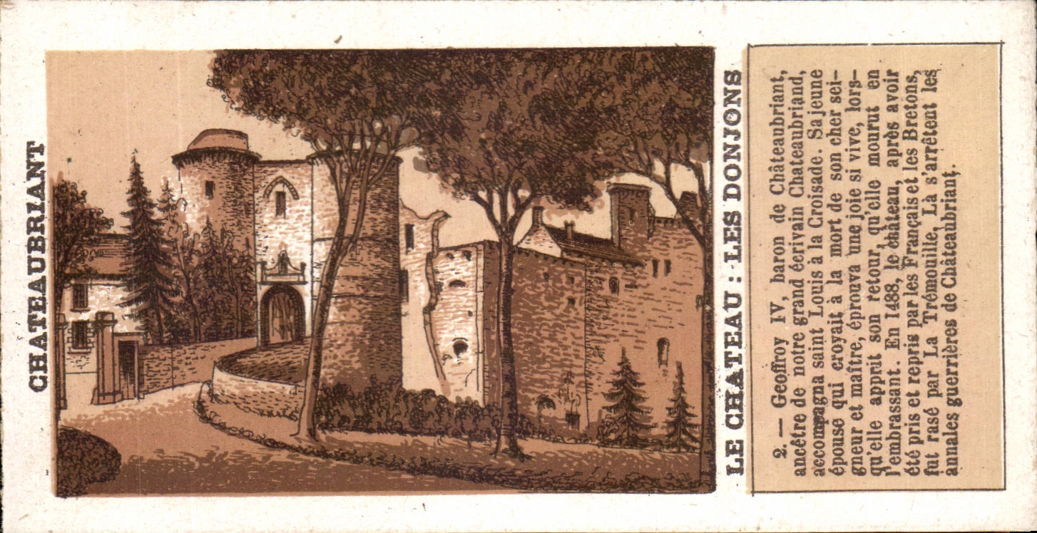 CPA Chateaabriant Le Chateau Les Donjons