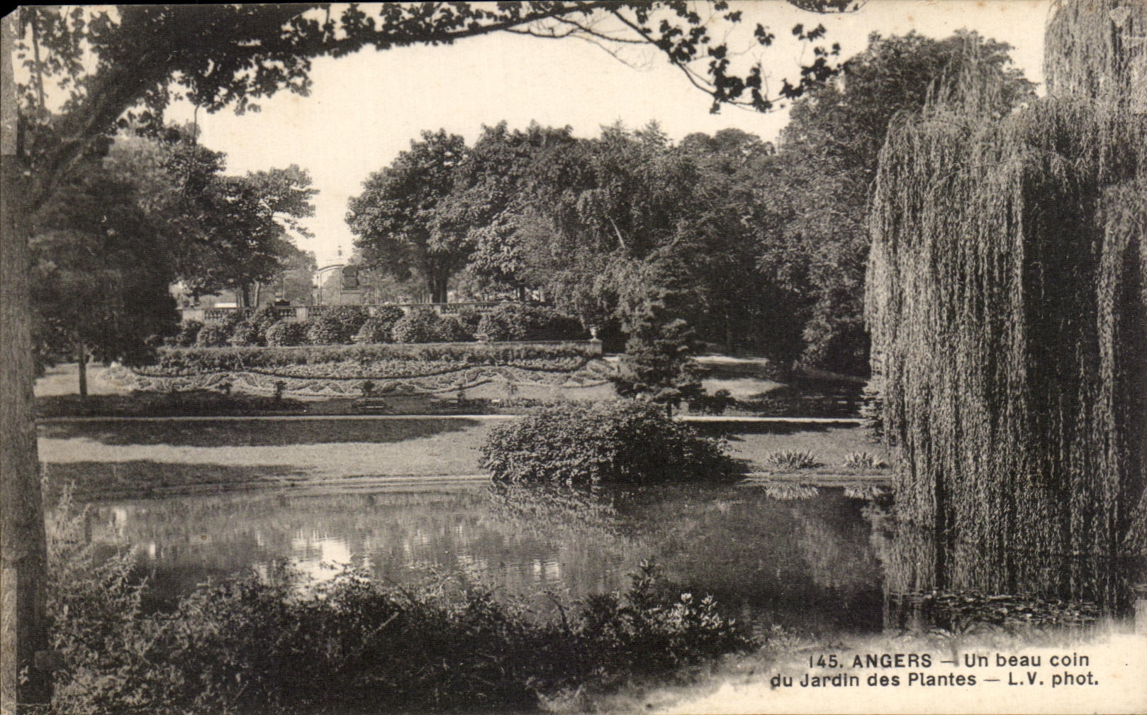 CPA Angers a beautiful corner of the Botanical garden