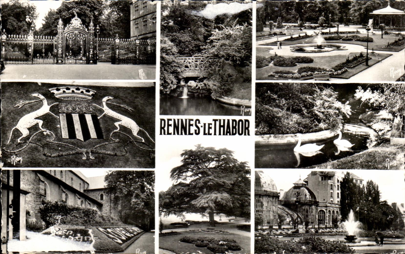 CPSM Rennes Le Jardin du Thabor