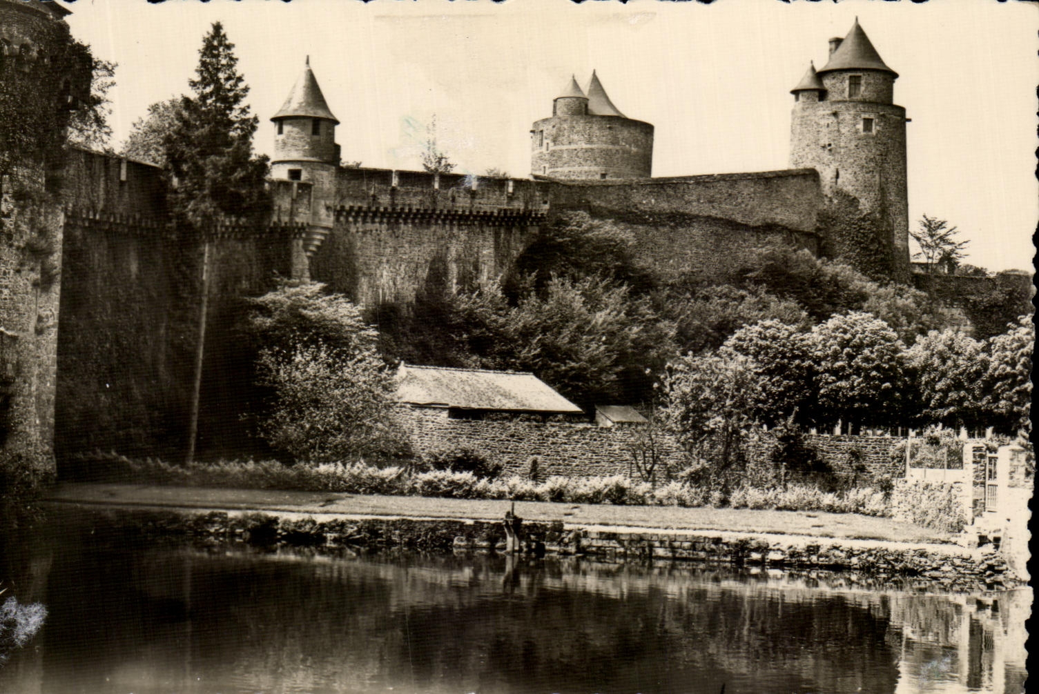 CPSM Ferns the Castle