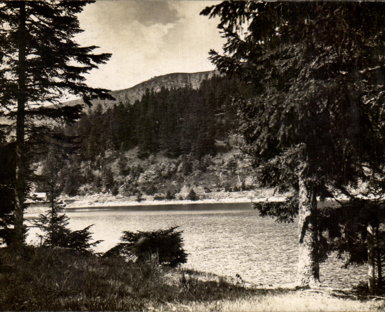 CPA the Valley De Munster Lake Soultzeren