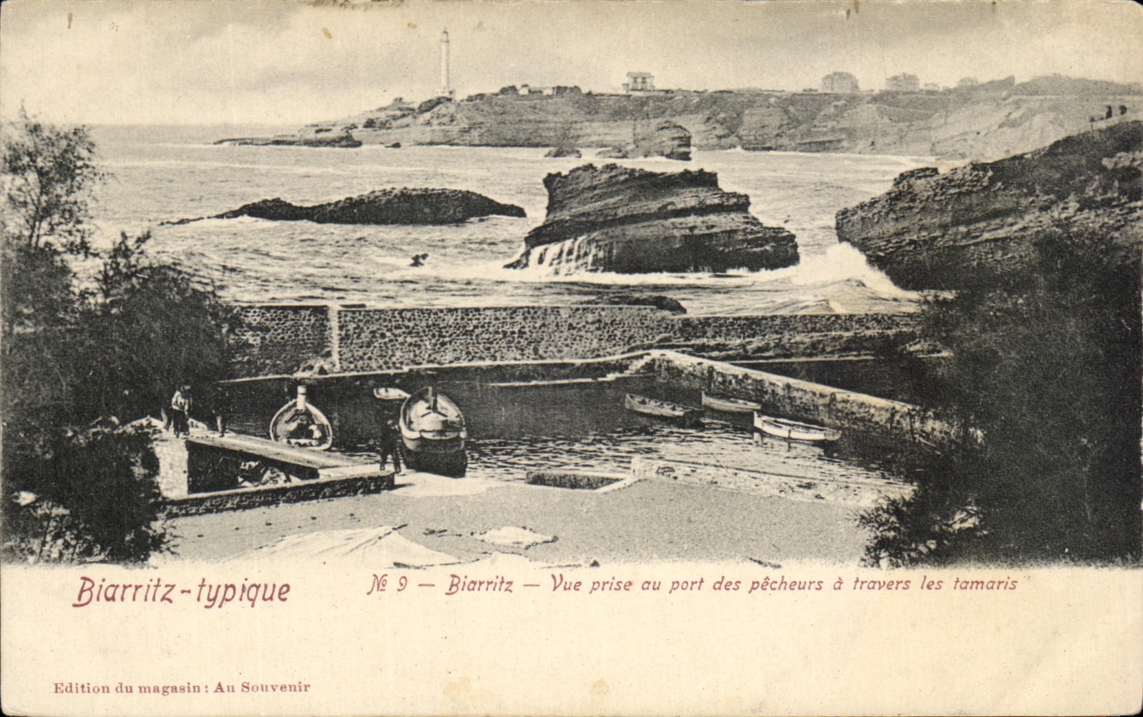 CPA Biarritz Typique Biarritz vue Prise Au Port Des pecheurs a travers les tamaris 