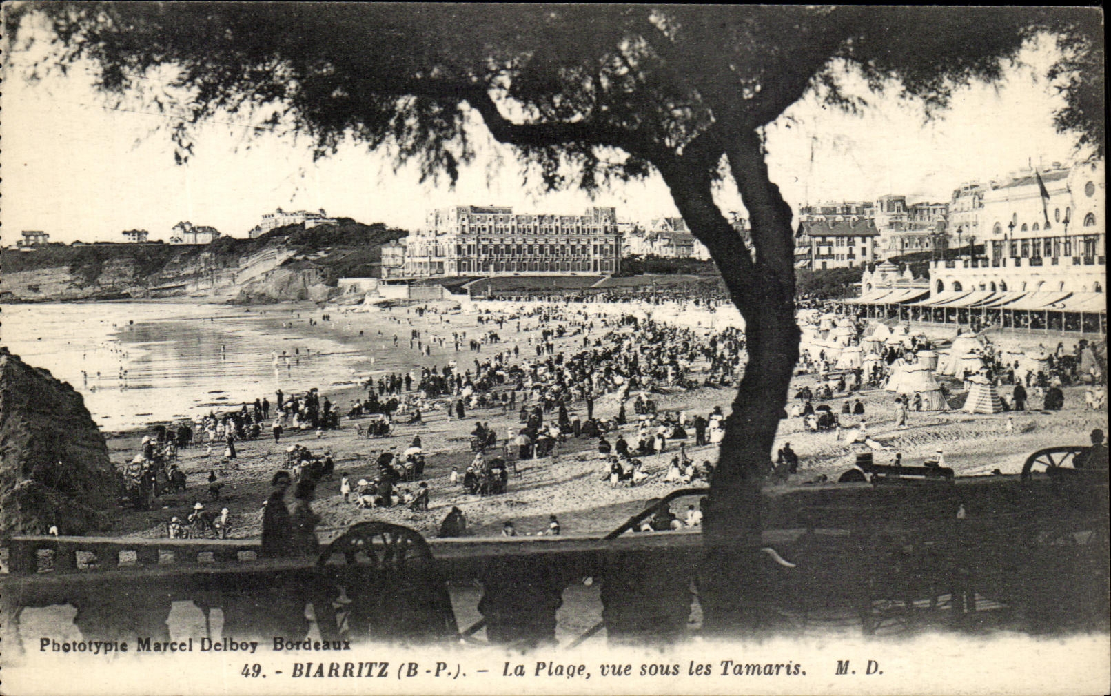 CPA Biarritz La Plage Vue Sous Les Tamaris