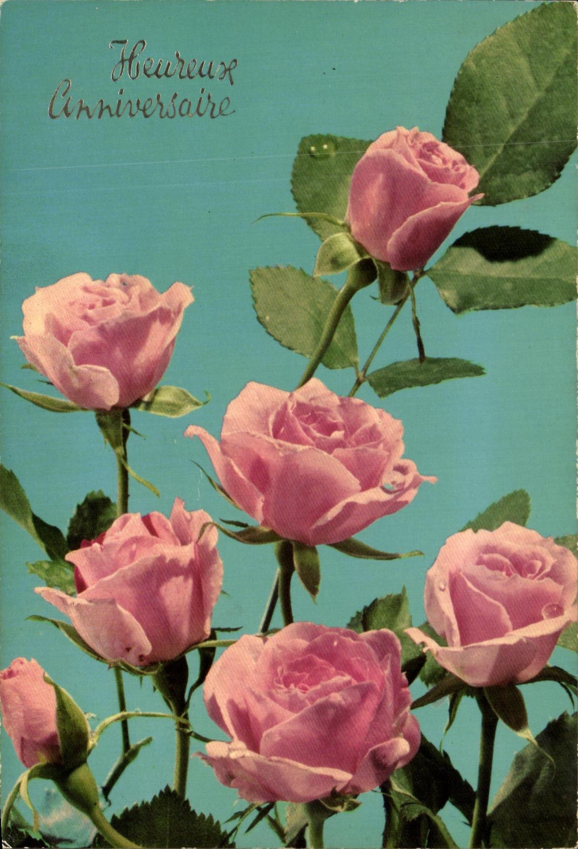 La TARJETA MODERNA florece rosas