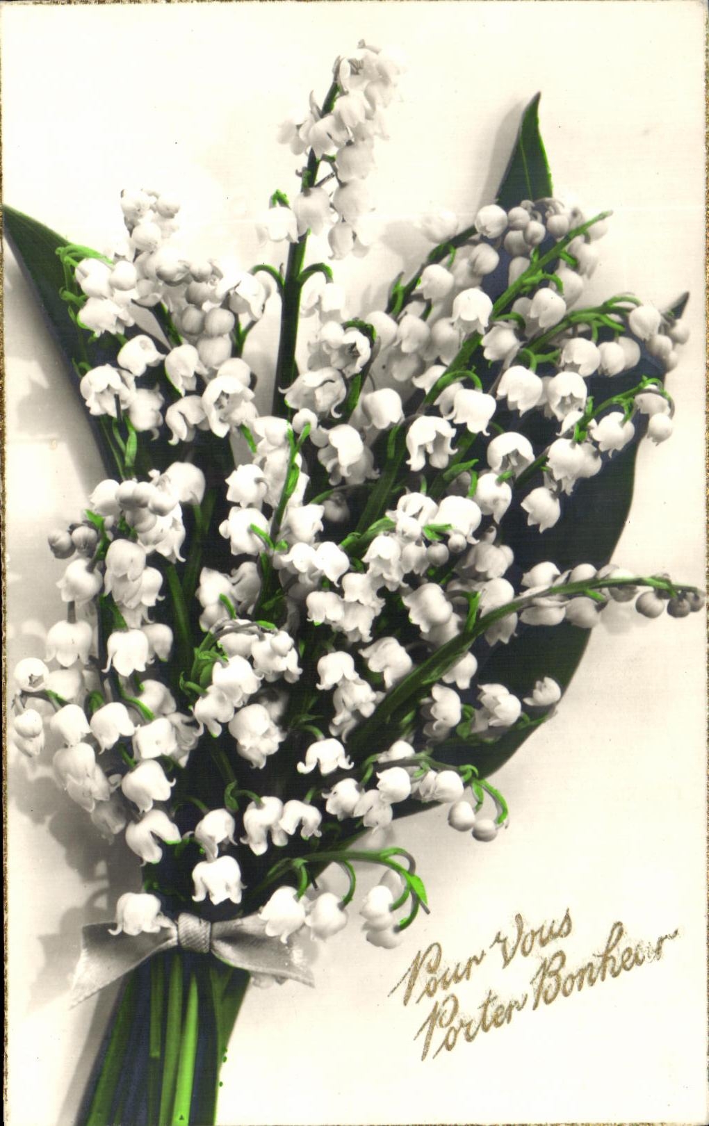 CPA florece el lirio de los valles