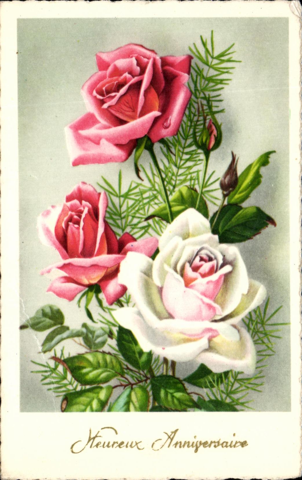 El cumpleanos feliz de CPA florece rosas