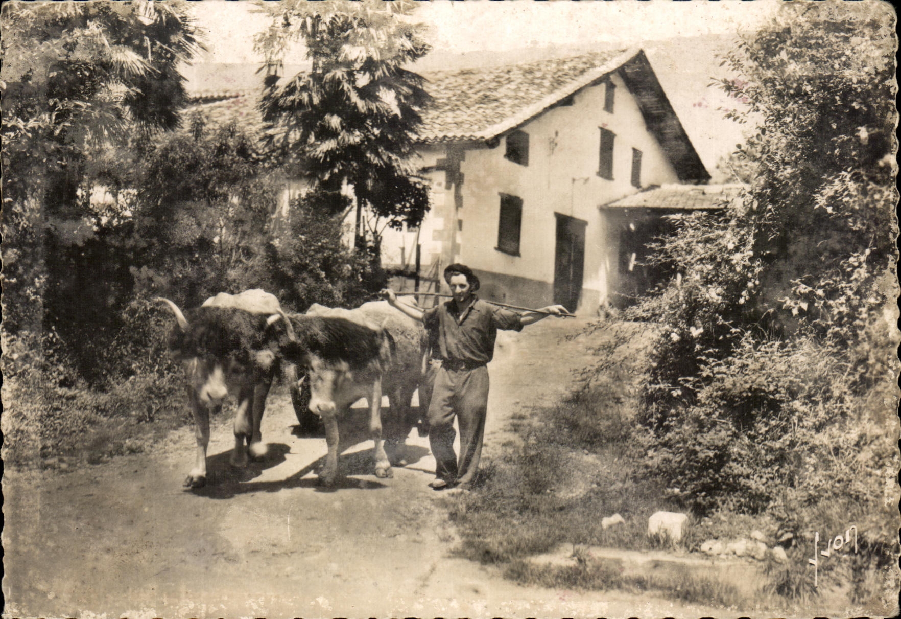 CPSM the Basque step Closes and coach Basque