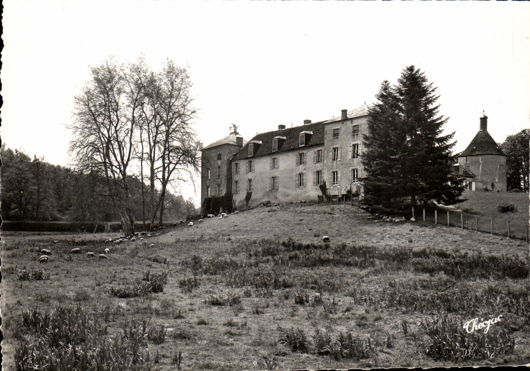 CPSM Bonnat Castle De Mornay