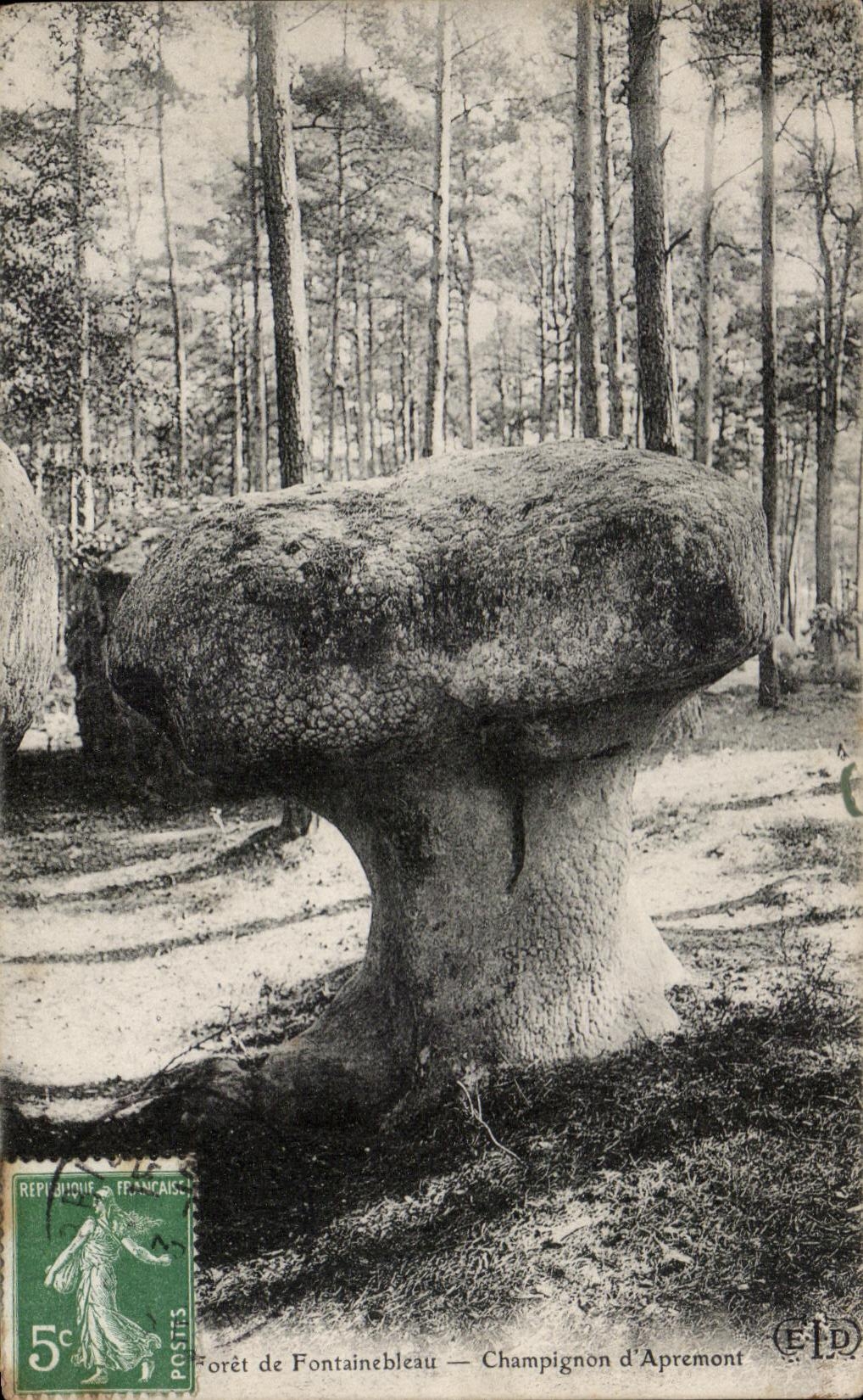 CPA Drill of Fontainbleau Mushroom of Apremont