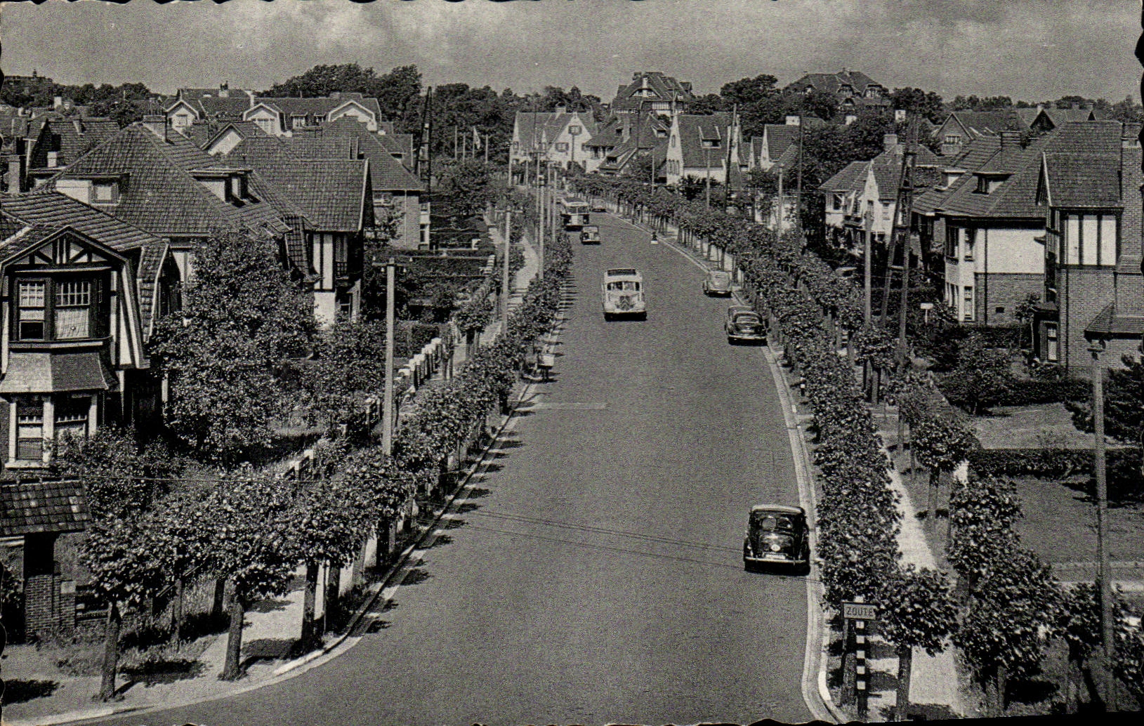CPA Knokke Zoute Avenue Elisabeth