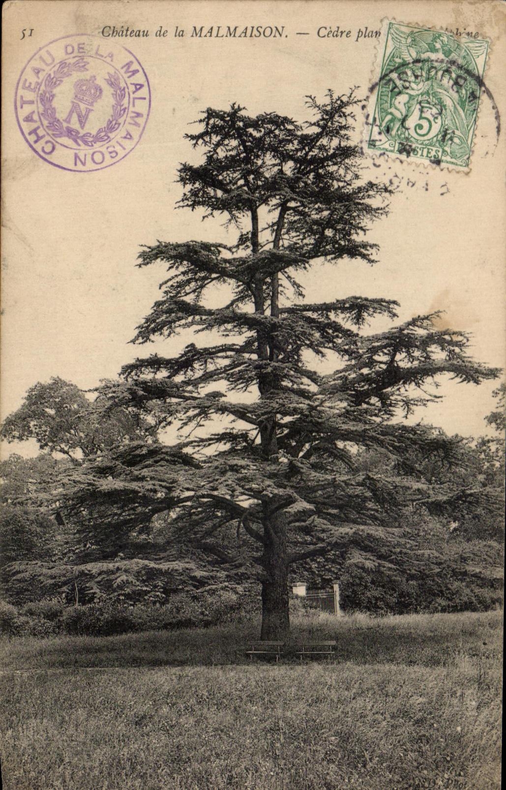 CPA Castle Of Malmaison Plane Cedar