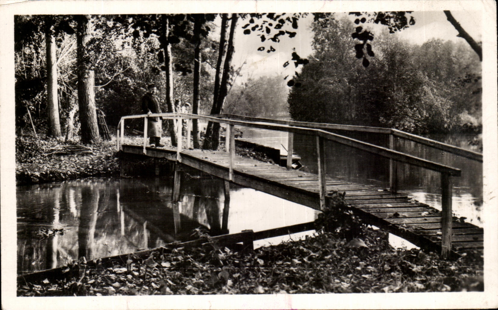 CPSM Montoire Sur Le Loir Le Loir