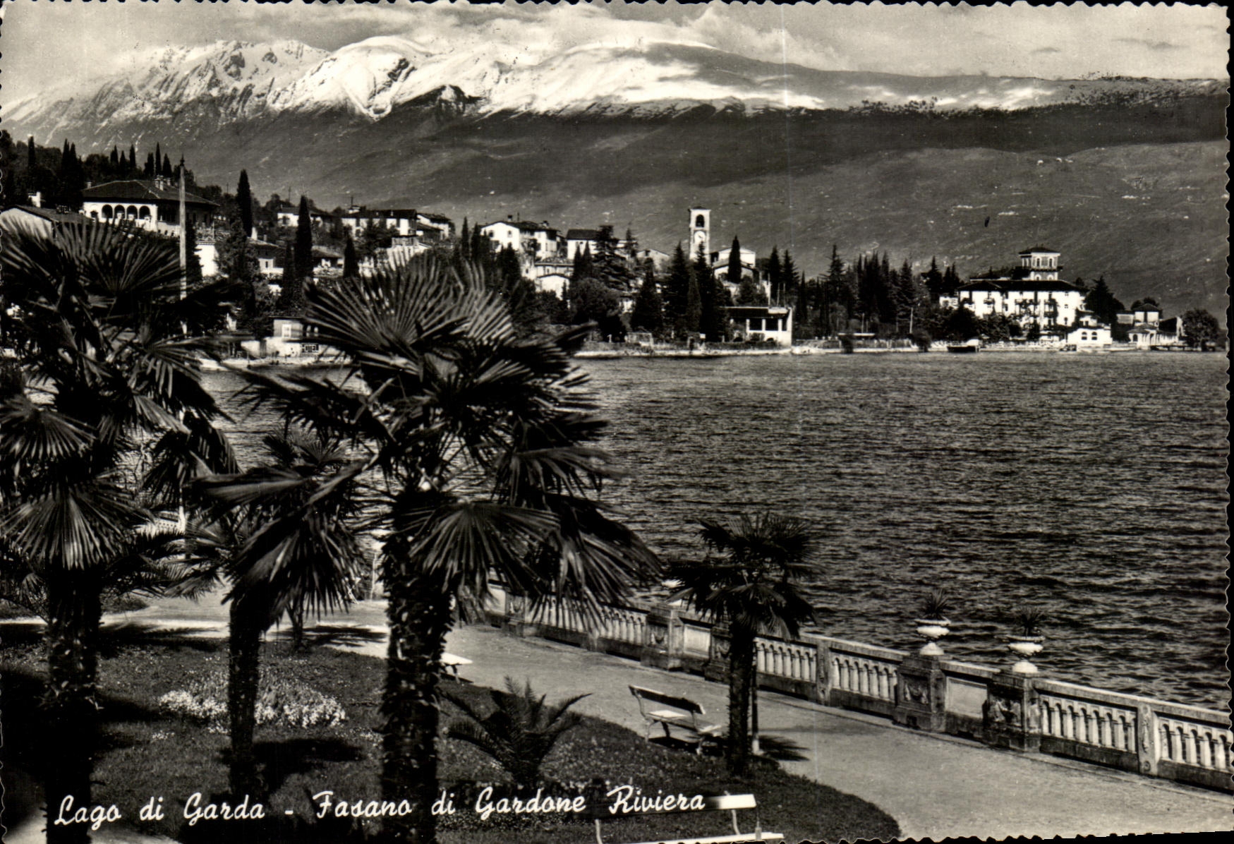 CPA Lac di Garda Fasano de Gardone Riviera