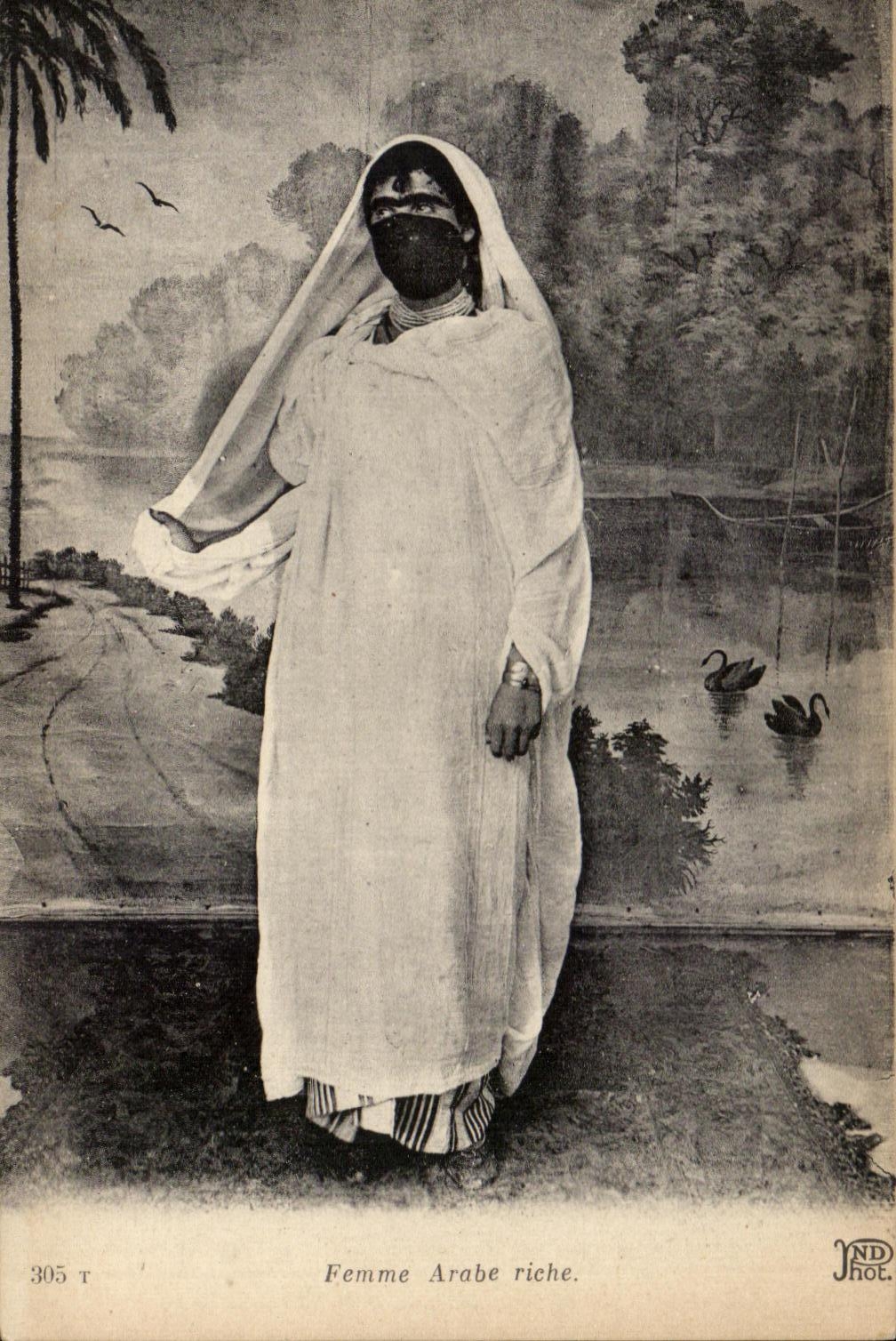 Arab CPA Woman Rich Algeria Swan