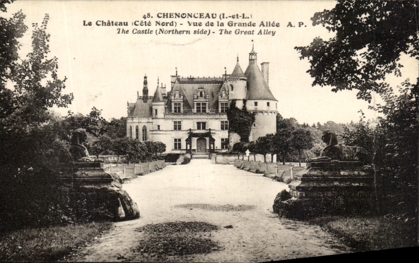 CPA Chenonceaux el castillo visto de Allee grande