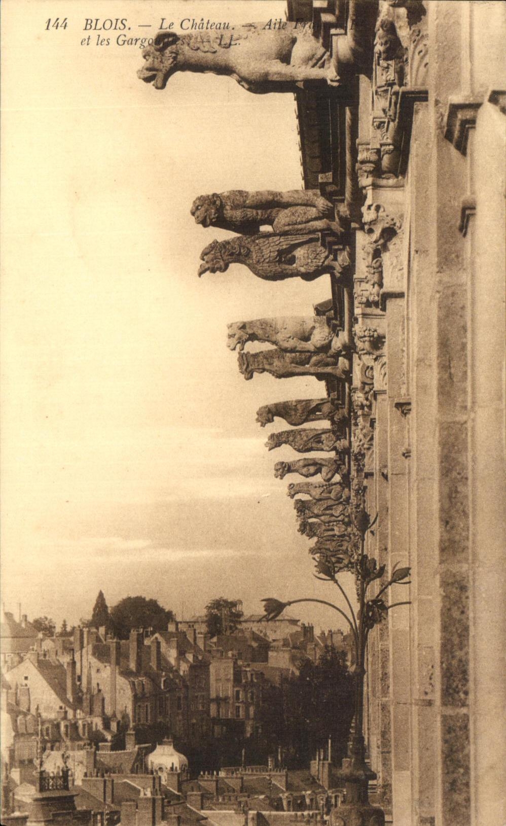 CPA Blois La Chateau et les Gargouilles 