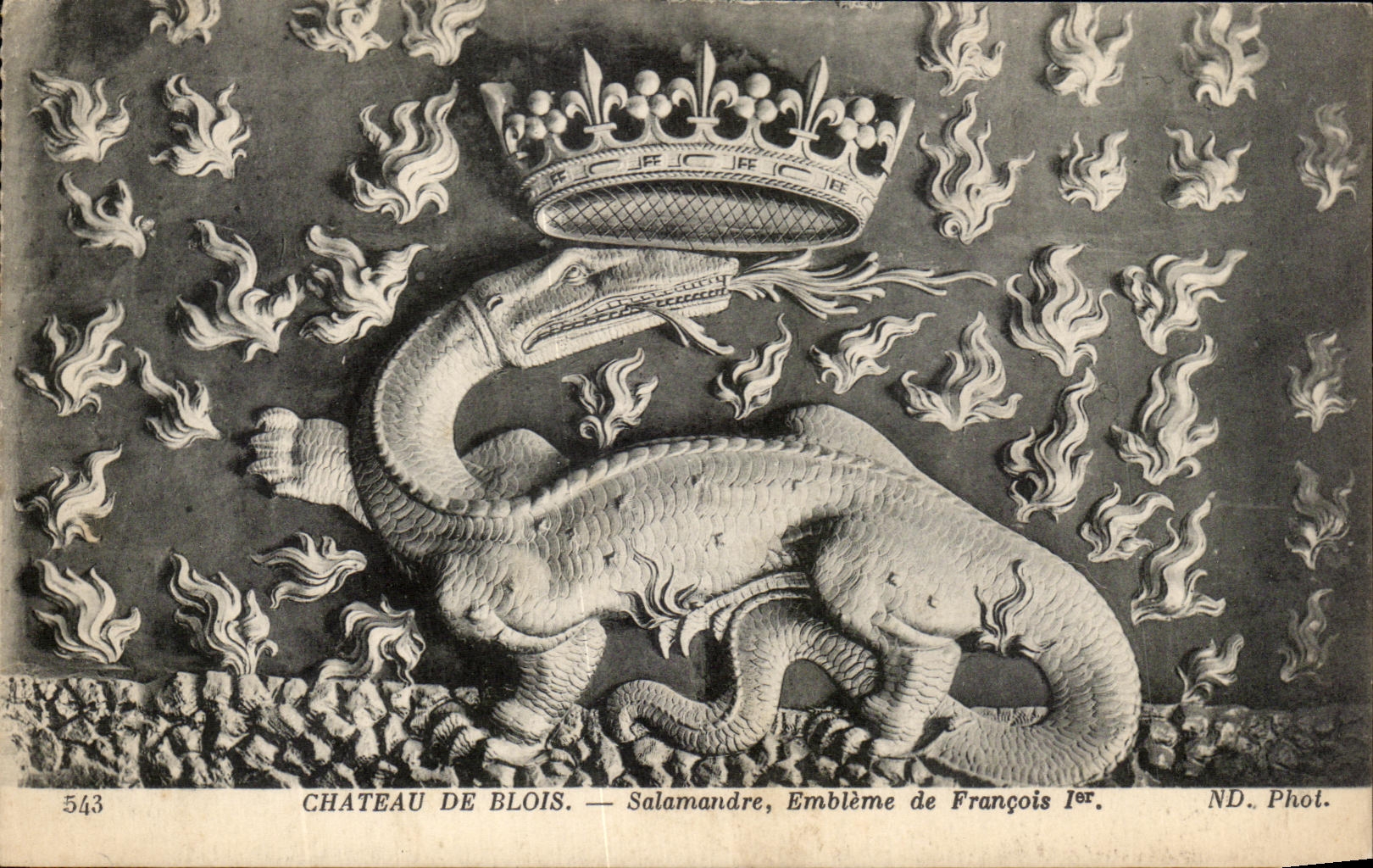CPA Chateau De Blois Salamandre Embleme de Francois 1er