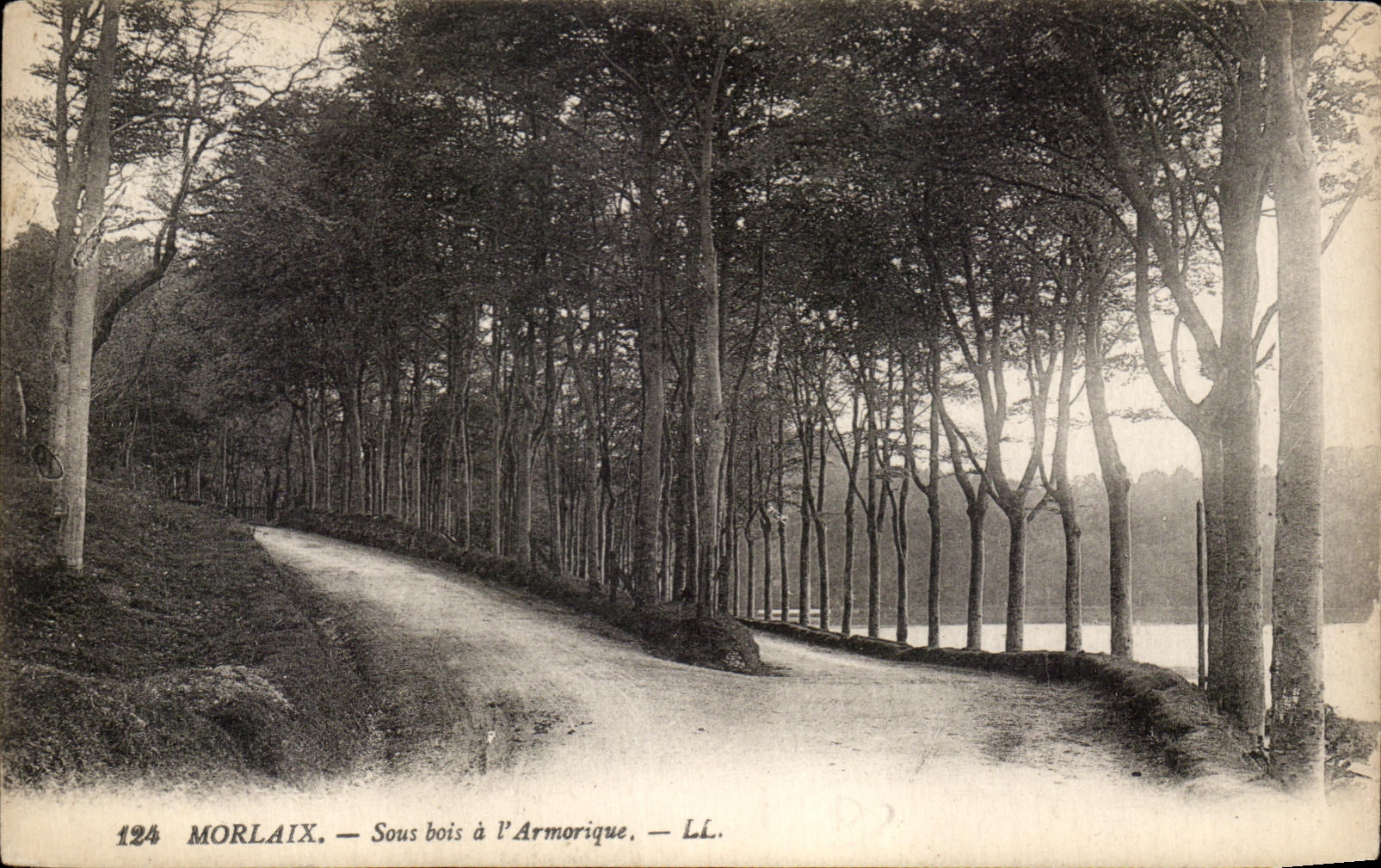 CPA Morlaix Under Wood in Armorique