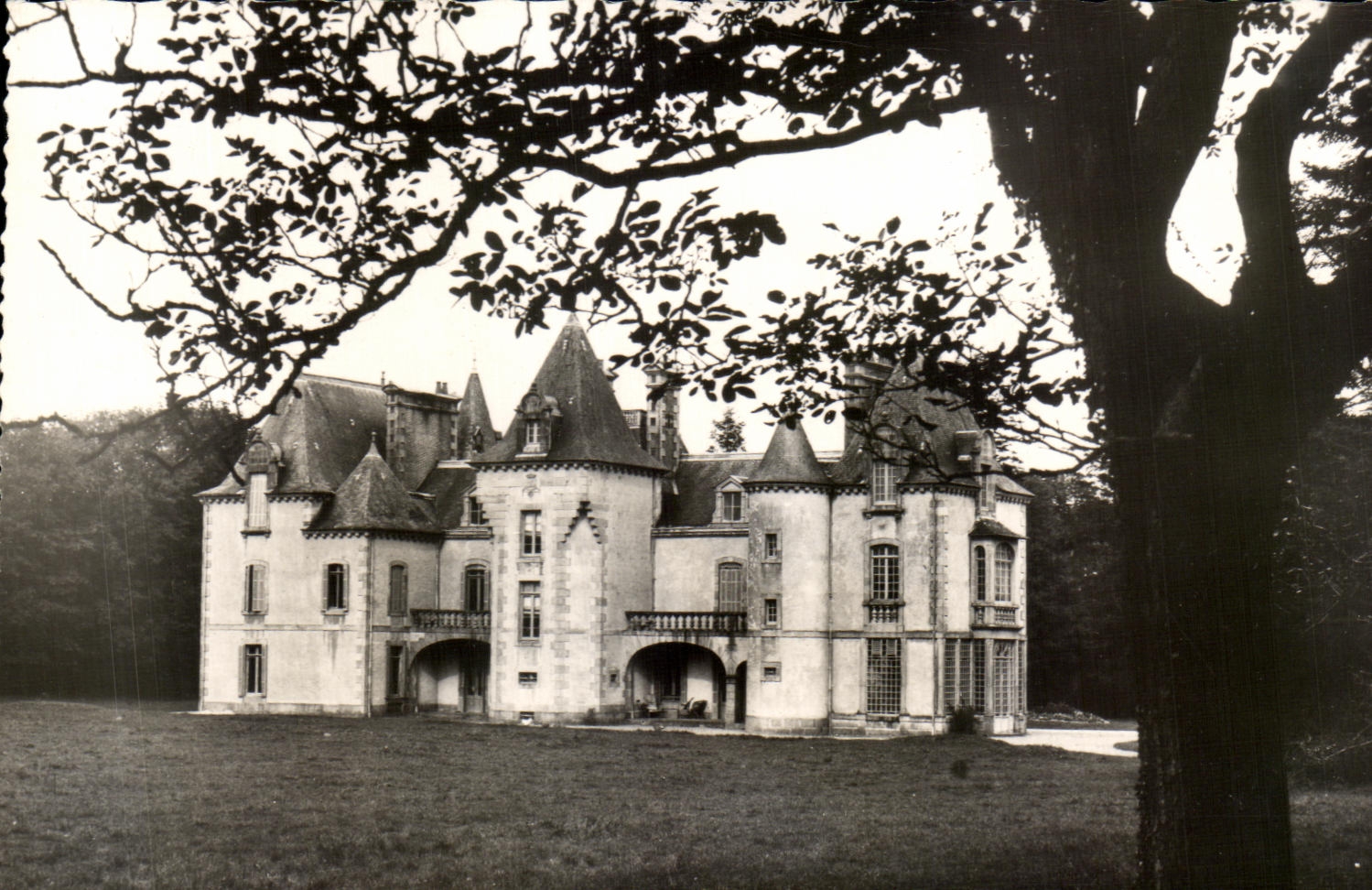 CPSM De Morlaix has Plouigneau La Chapelle Of the wall the Castle