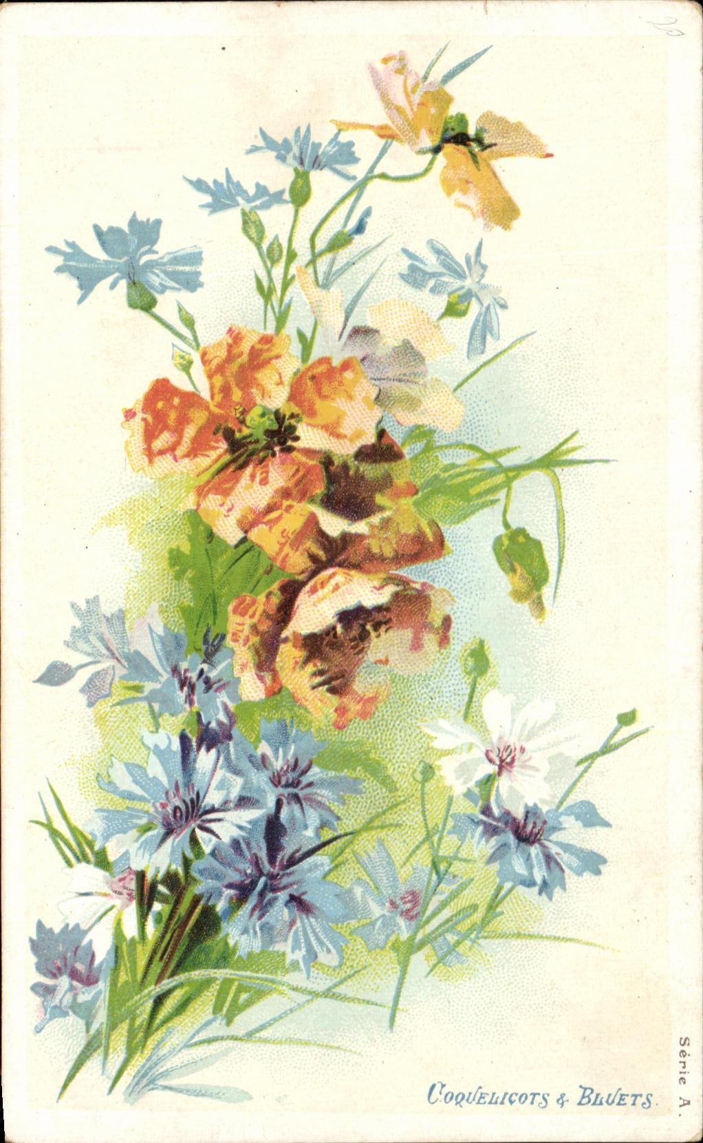 CPA Fantaisie Fleurs Coqueuicots Bluets