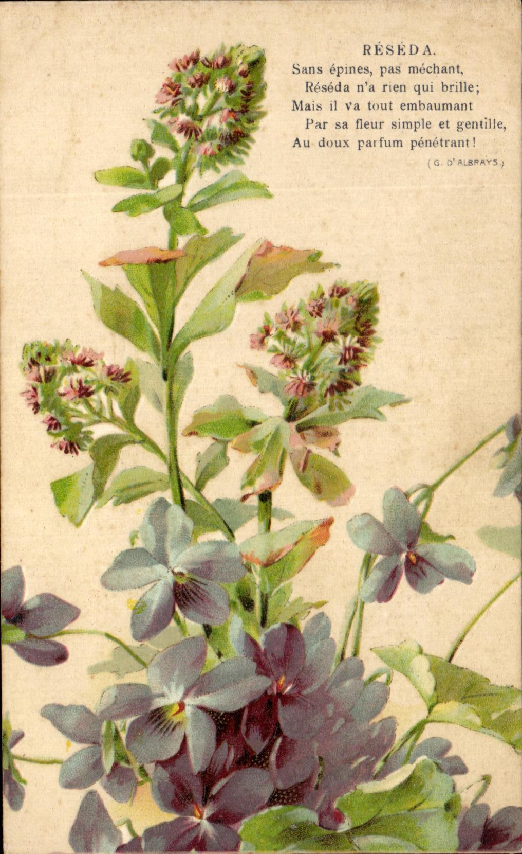 CPA Fantaisie Fleurs Reseda Sans epines pas mechant