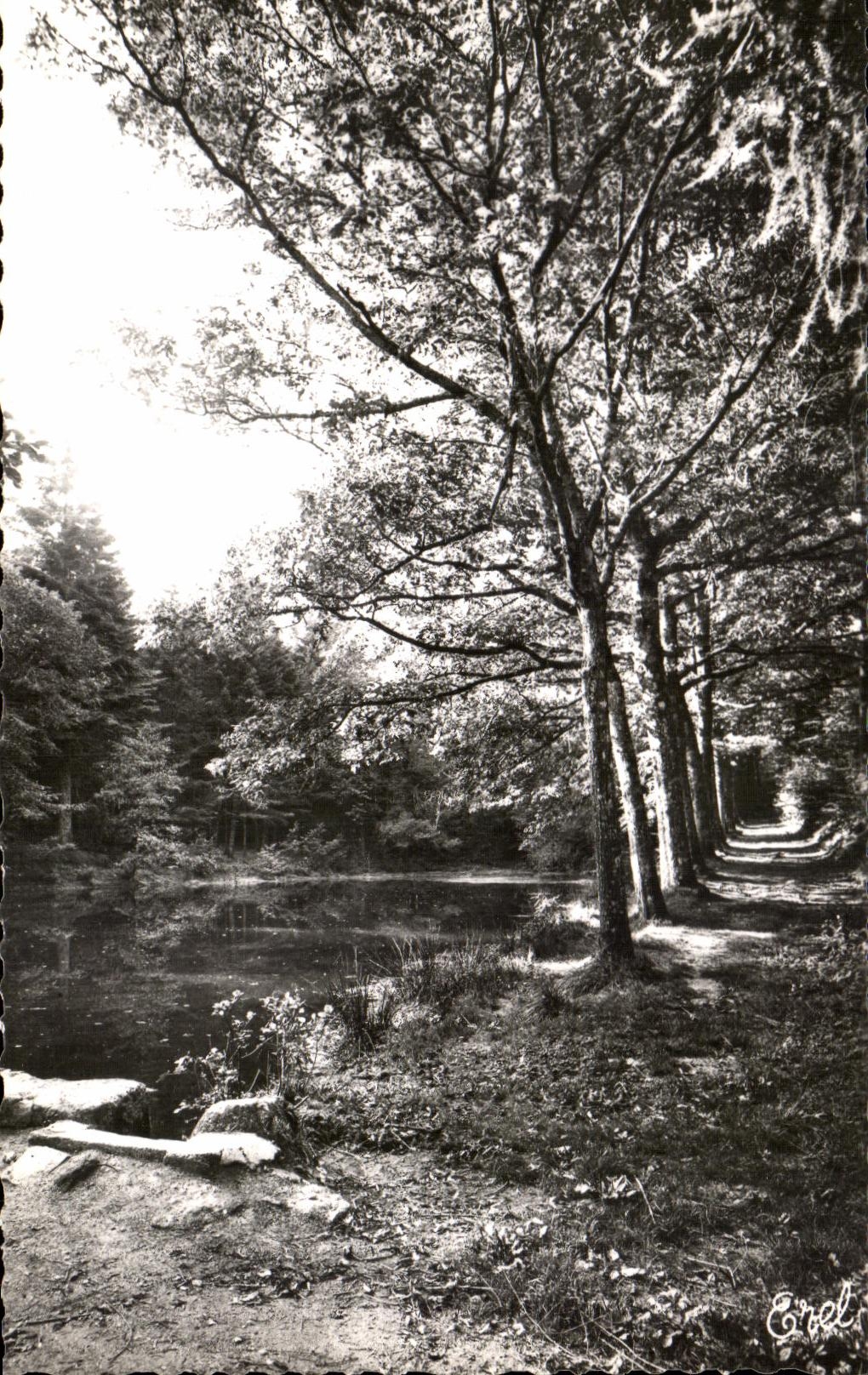 CPSM La Jonchere Etang des Pepinieres